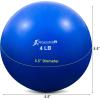 imageProsourceFit Weighted Toning Exercise Balls for Pilates Yoga Strength Training and Physical Therapy 2 lb to 8 lb Color CodedBlue 4lb