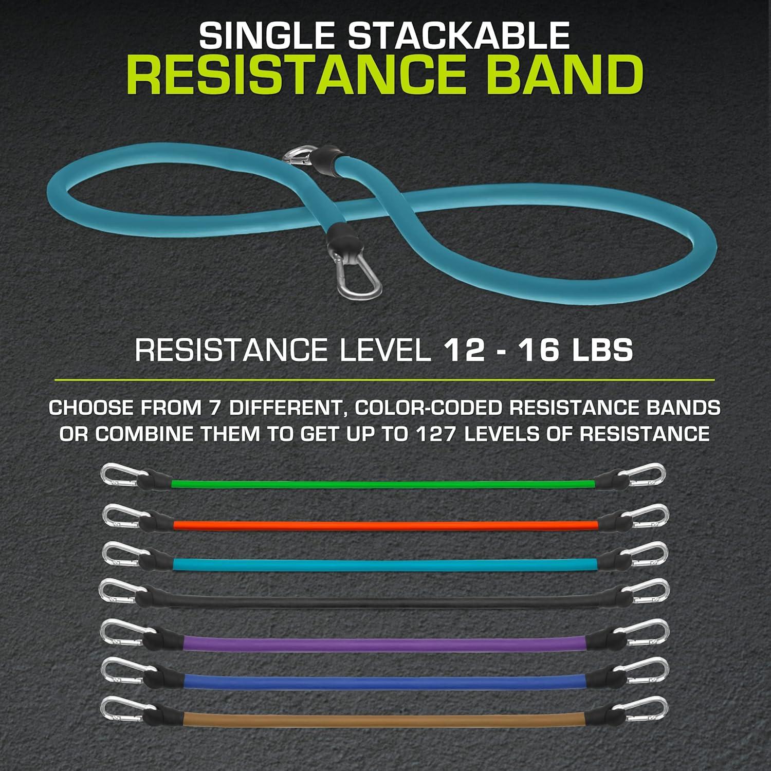 imageProsourceFit Single Stackable Resistance Bands with Door Anchor and Exercise Guide 812 LB Heavy Duty Fitness Tube for FullBody Exercises and Home WorkoutsBlue 12 LB to 16 LB Resistance Level