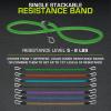imageProsourceFit Single Stackable Resistance Bands with Door Anchor and Exercise Guide 812 LB Heavy Duty Fitness Tube for FullBody Exercises and Home WorkoutsGreen  5 LB to 8 LB Resistance Level