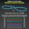 imageProsourceFit Single Stackable Resistance Bands with Door Anchor and Exercise Guide 812 LB Heavy Duty Fitness Tube for FullBody Exercises and Home WorkoutsBlue 12 LB to 16 LB Resistance Level