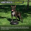 imageProsourceFit Core Balance Disc Trainer 14 Diameter with Pump for Improving Posture Fitness StabilityBlack