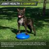 imageProsourceFit Core Balance Disc Trainer 14 Diameter with Pump for Improving Posture Fitness StabilityBlue