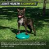 imageProsourceFit Core Balance Disc Trainer 14 Diameter with Pump for Improving Posture Fitness StabilityGreen