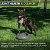 imageProsourceFit Core Balance Disc Trainer 14 Diameter with Pump for Improving Posture Fitness StabilityGrey