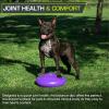 imageProsourceFit Core Balance Disc Trainer 14 Diameter with Pump for Improving Posture Fitness StabilityPurple