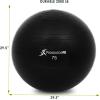 imageProsourceFit Stability Exercise Ball with Foot Pump Black 55 65 75 cm AntiBurst up to 2000 lb for Fitness Pilates Balance and Yoga