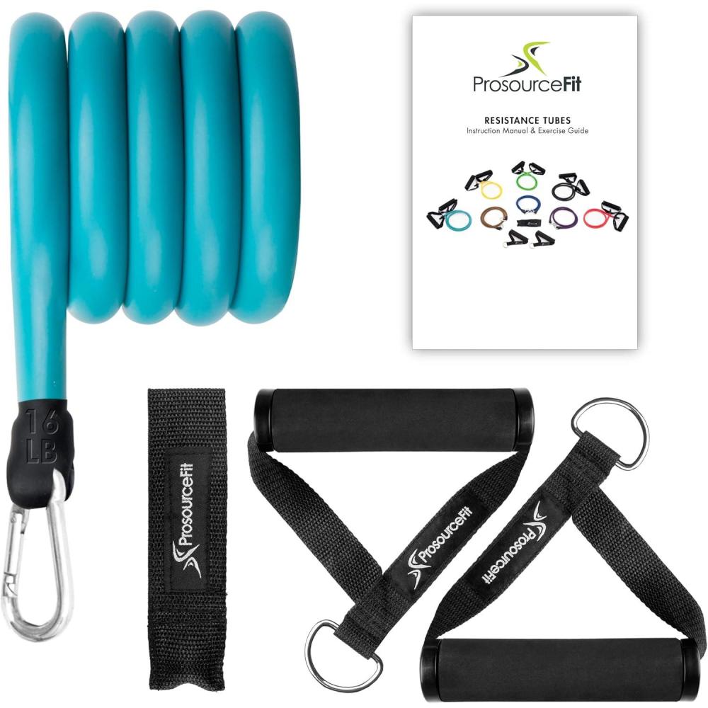 imageProsourceFit Single Stackable Resistance Bands with Door Anchor and Exercise Guide 812 LB Heavy Duty Fitness Tube for FullBody Exercises and Home WorkoutsBlue 12 LB to 16 LB Resistance Level